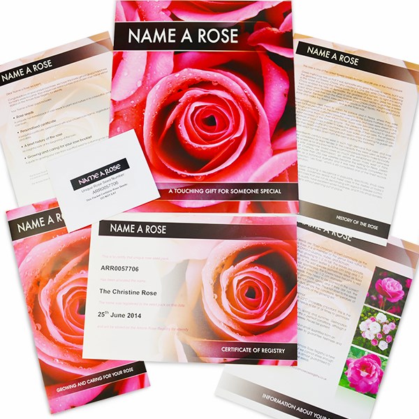 Personalised Name a Rose - Budget