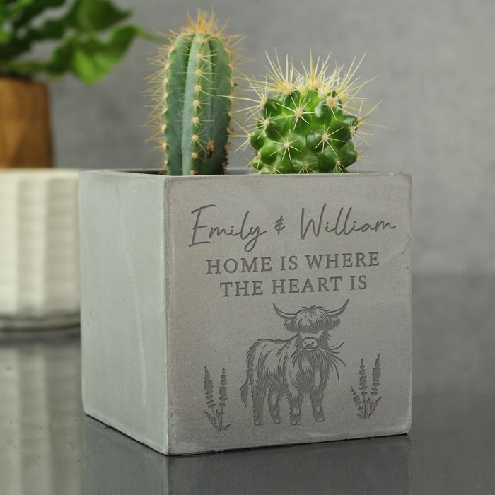 Personalised Highland Cow Concrete Plant Pot