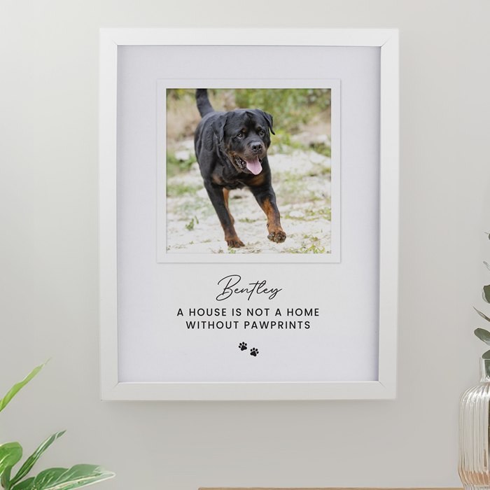 Personalised Pet Photo Upload White Framed Print