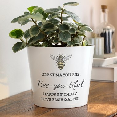 Personalised Bee Plant Pot