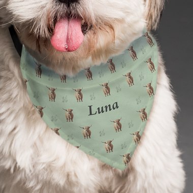 Personalised Highland Cow Dog Bandana