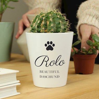 Personalised Paw Print Plant Pot