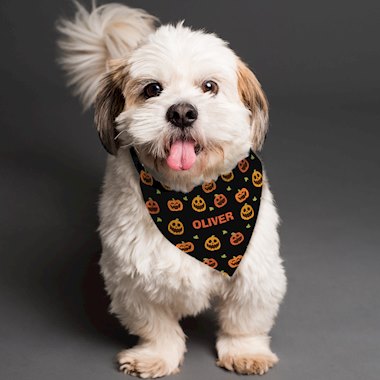 Personalised Pumpkin Patch Dog Bandana