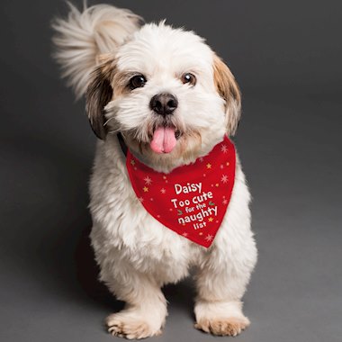 Personalised Too cute for the naughty list Dog Bandana